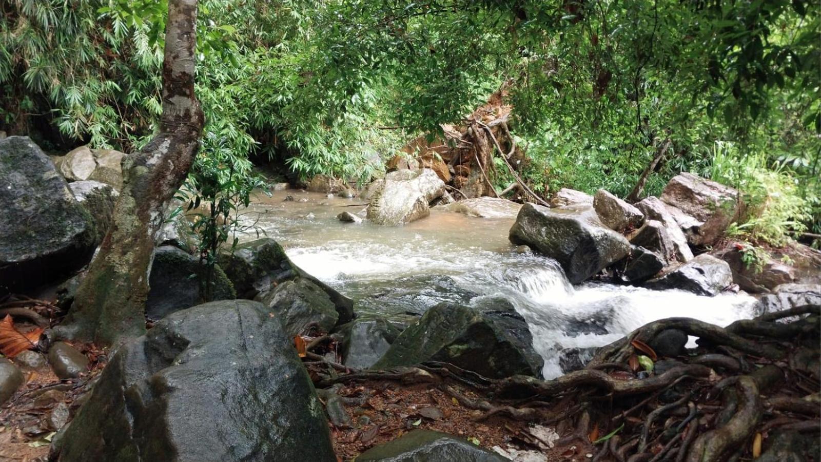 Salmanel Resort Ratnapura Bagian luar foto
