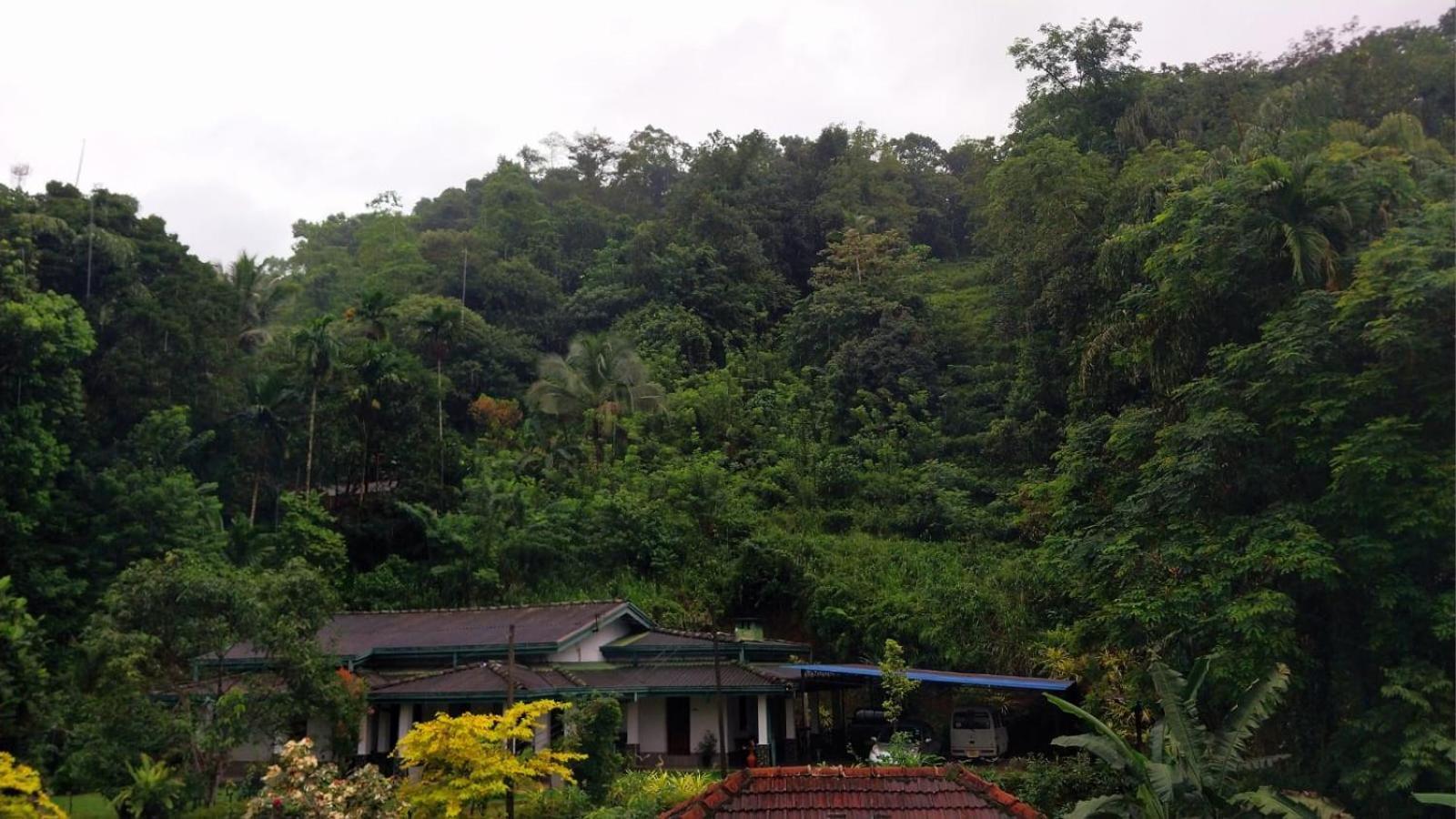 Salmanel Resort Ratnapura Bagian luar foto